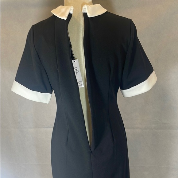 Elegant Black and White Dress - Picture 8 of 10